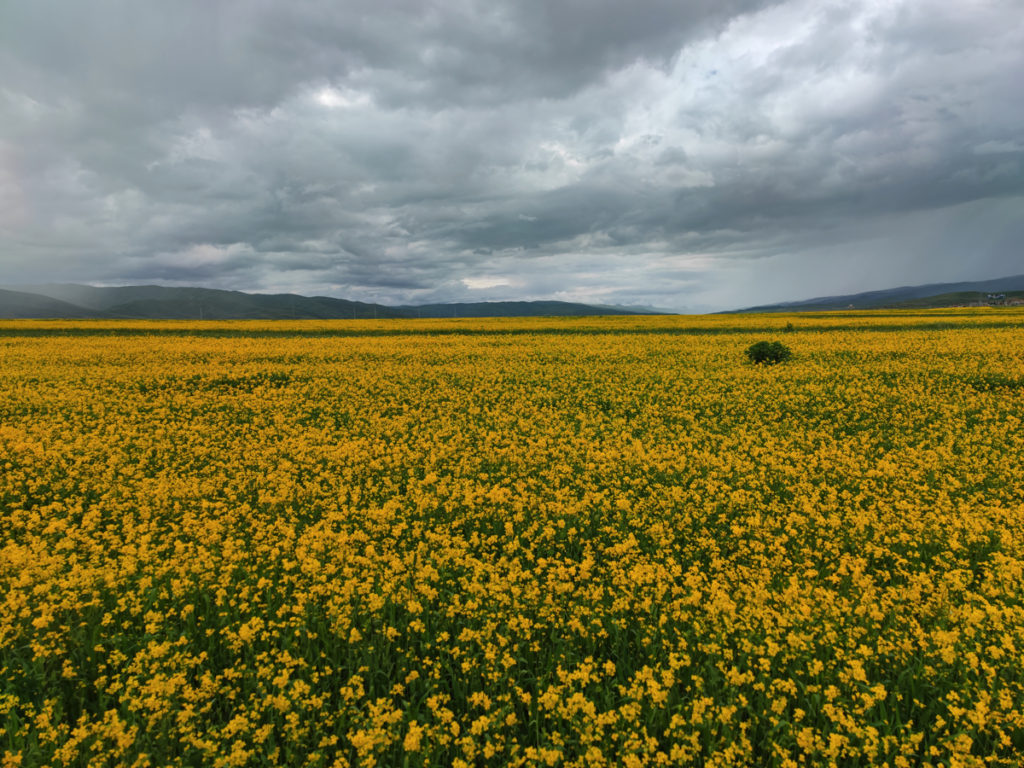 甘粛省・国道345号と黄河の写真　母なる黄河を渡り国道345号を行く6-3