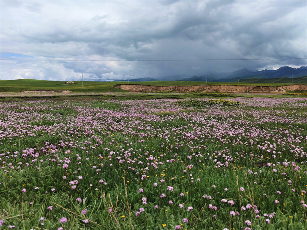 甘粛省・国道345号と黄河の写真　母なる黄河を渡り国道345号を行く6-4