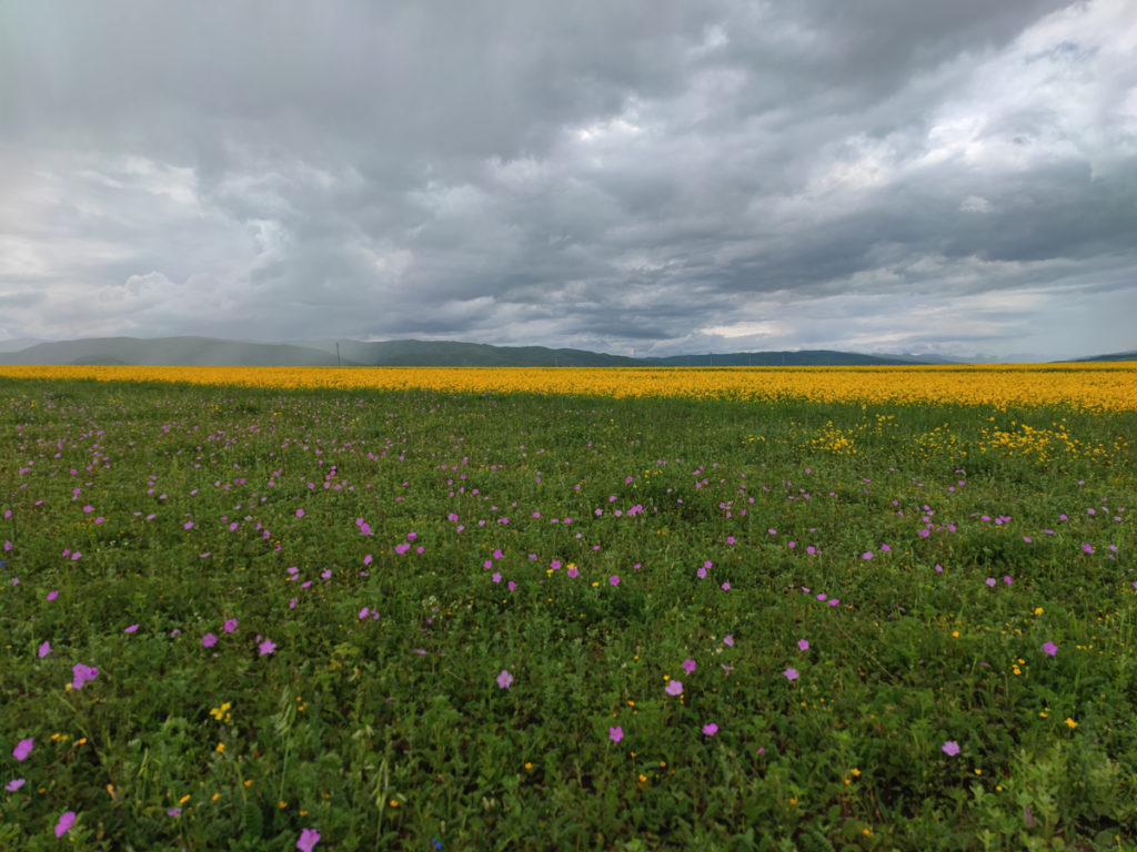 甘粛省・国道345号と黄河の写真　母なる黄河を渡り国道345号を行く6-5
