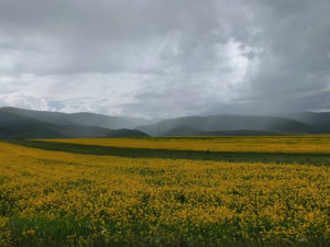 甘粛省・国道345号と黄河の写真　母なる黄河を渡り国道345号を行く6-7