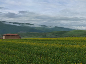 甘粛省・国道345号と黄河の写真　母なる黄河を渡り国道345号を行く7-6