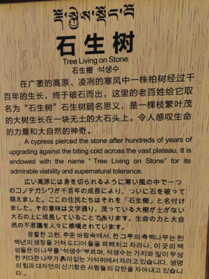 四川省・連宝叶則・年保玉則の写真　巴顔喀拉（パヤカラ）山脈の神界トレッキング7-11