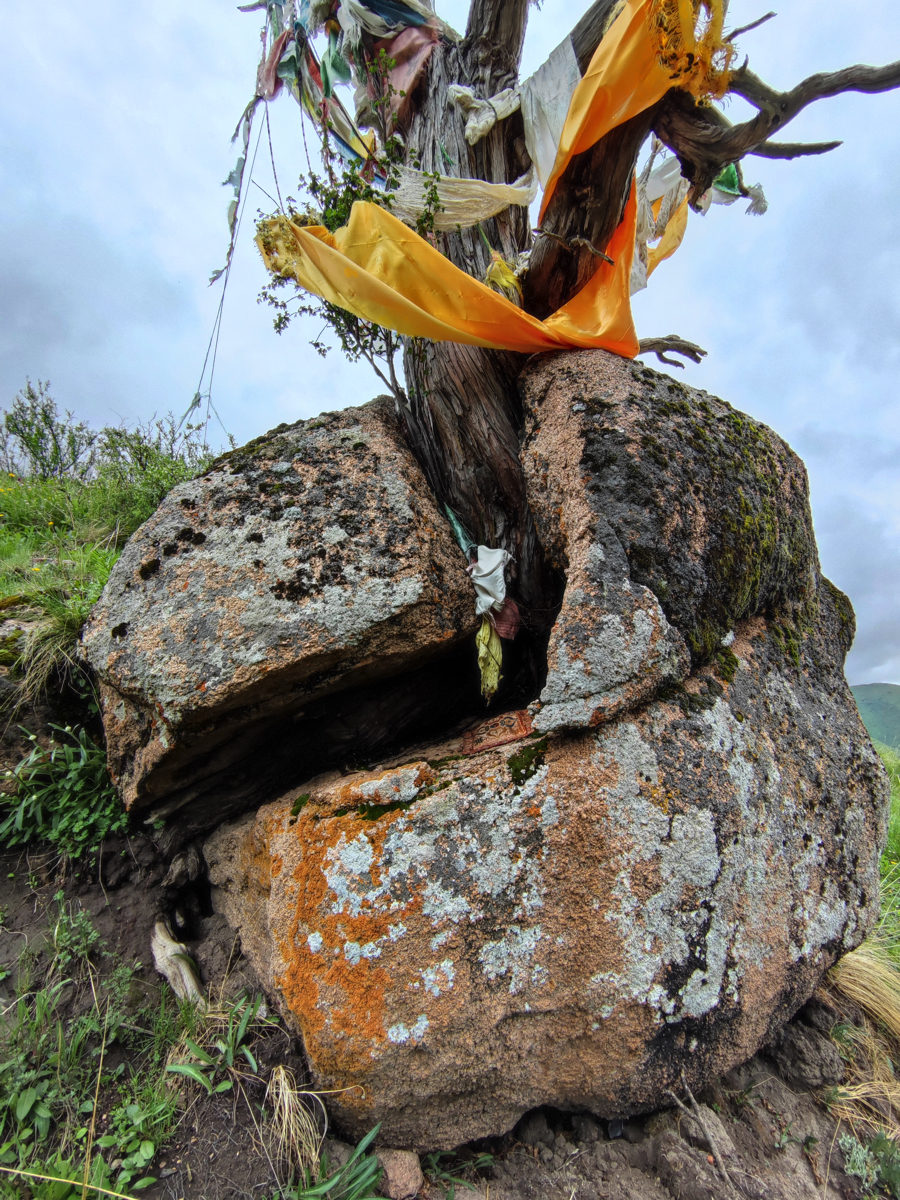 四川省・連宝叶則・年保玉則の写真　巴顔喀拉（パヤカラ）山脈の神界トレッキング7-3