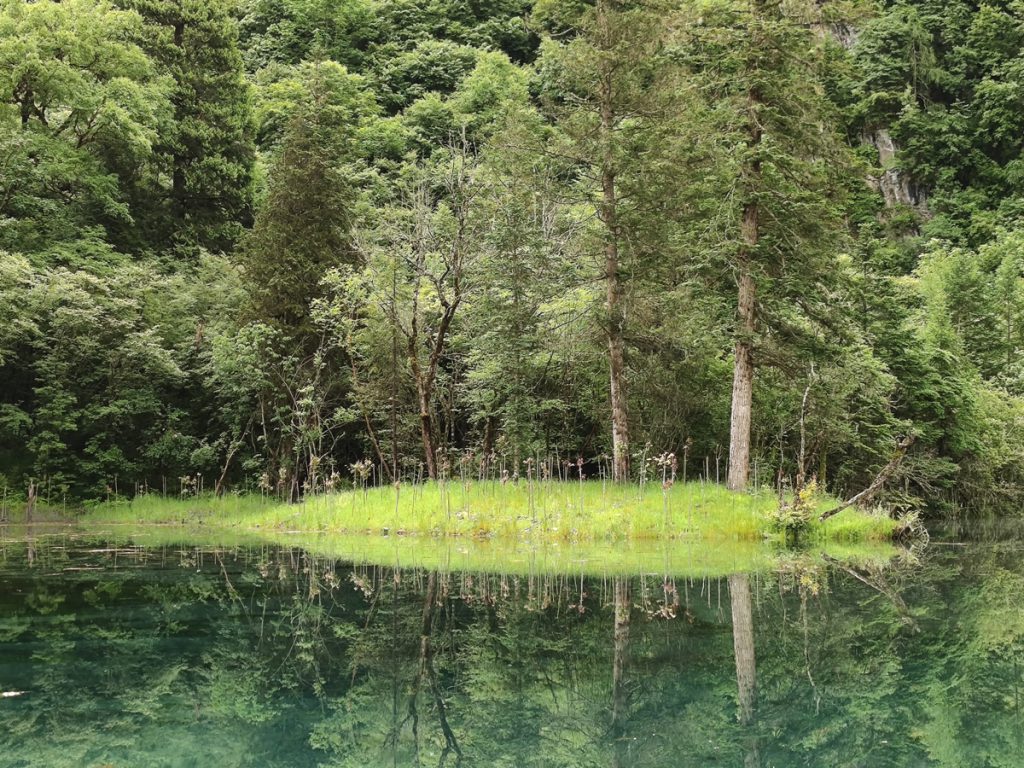 四川省・華棚溝・羊茸哈徳と達古氷河・都江堰の写真　西藏高原最東端を行く4-1