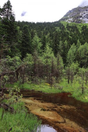 四川省・華棚溝・羊茸哈徳と達古氷河・都江堰の写真　西藏高原最東端を行く4-11