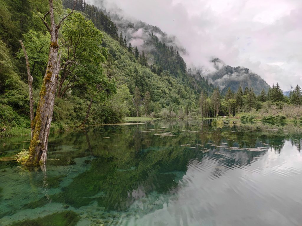 四川省・華棚溝・羊茸哈徳と達古氷河・都江堰の写真　西藏高原最東端を行く4-2