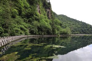 四川省・華棚溝・羊茸哈徳と達古氷河・都江堰の写真　西藏高原最東端を行く4-8