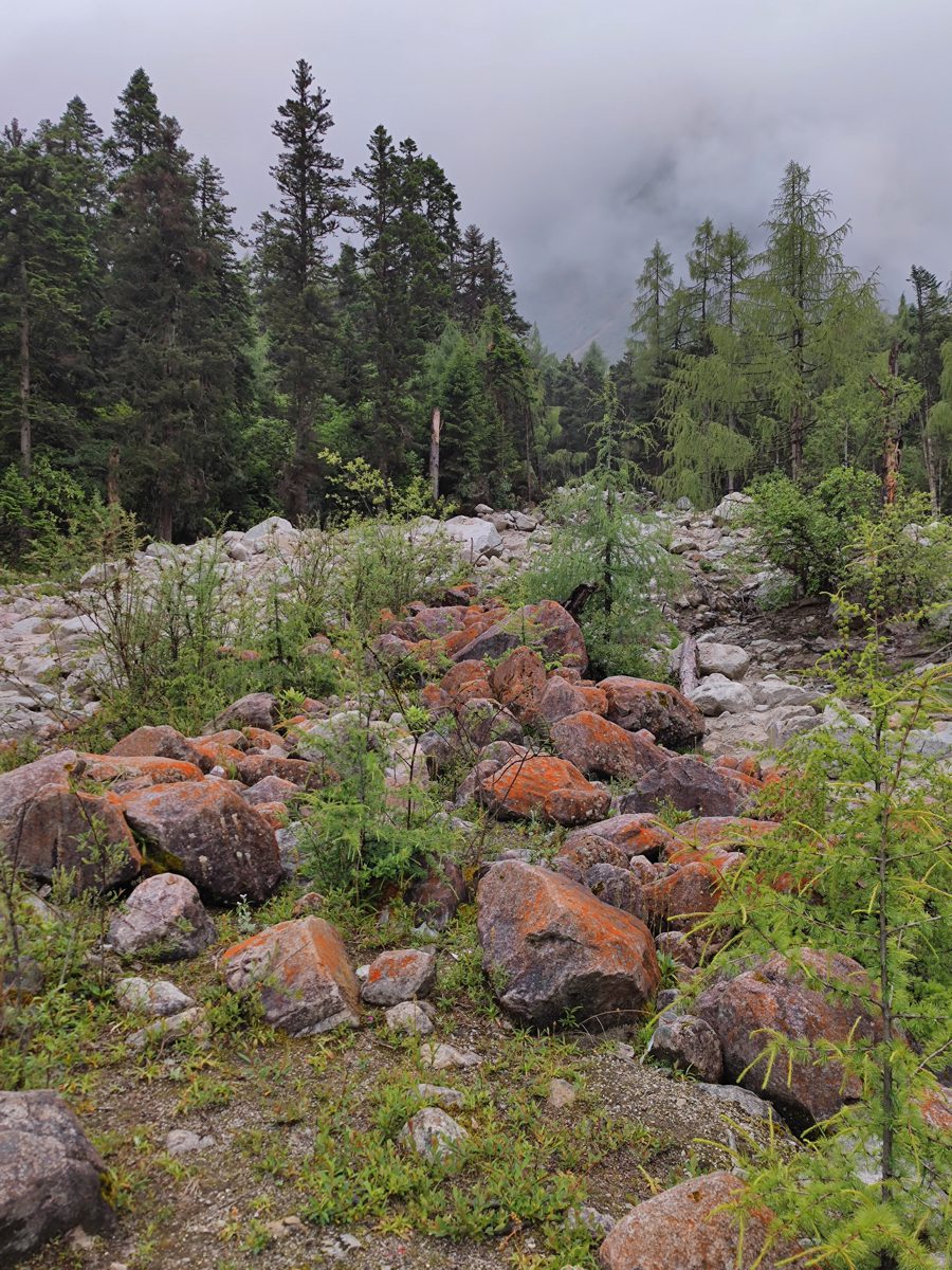 四川省・華棚溝・羊茸哈徳と達古氷河・都江堰の写真　西藏高原最東端を行く5-5