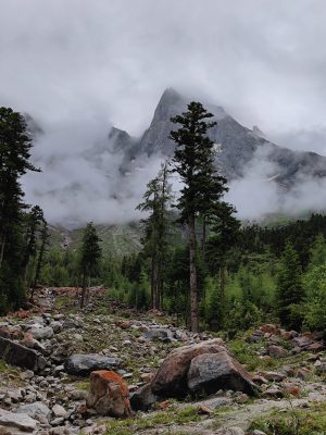 四川省・華棚溝・羊茸哈徳と達古氷河・都江堰の写真　西藏高原最東端を行く5-7