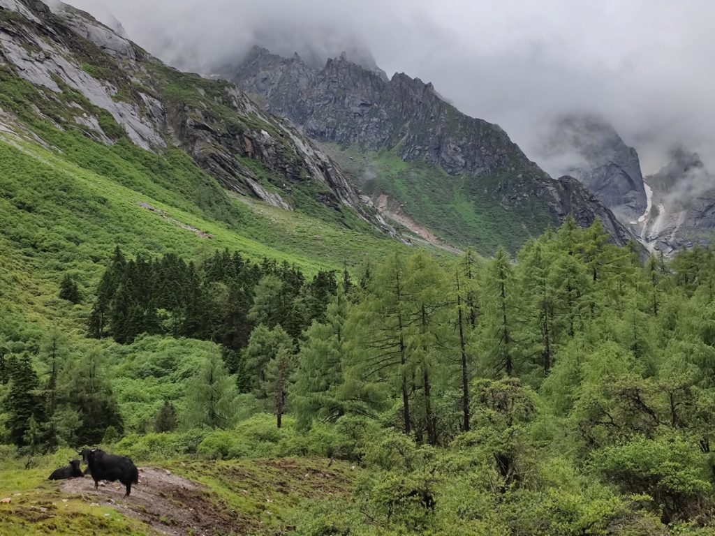 四川省・華棚溝・羊茸哈徳と達古氷河・都江堰の写真　西藏高原最東端を行く6-5