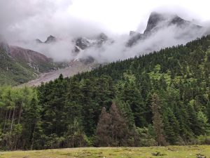 四川省・華棚溝・羊茸哈徳と達古氷河・都江堰の写真　西藏高原最東端を行く6-8