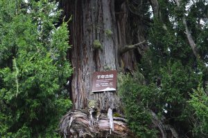 四川省・華棚溝・羊茸哈徳と達古氷河・都江堰の写真　西藏高原最東端を行く7-9