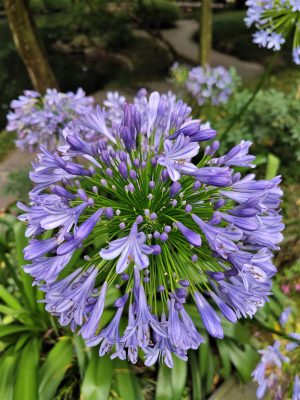 四川省・華棚溝・羊茸哈徳と達古氷河・都江堰の写真　西藏高原最東端を行く8-10