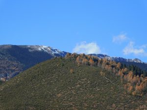 雲南省・香格里拉郊外 （松贊寺、納帕海、普達措国家公園）の写真　失われた地平線を求めて2-10