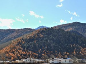雲南省・香格里拉郊外 （松贊寺、納帕海、普達措国家公園）の写真　失われた地平線を求めて2-11
