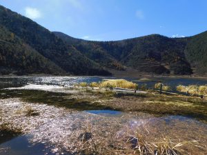 雲南省・香格里拉郊外 （松贊寺、納帕海、普達措国家公園）の写真　失われた地平線を求めて2-6