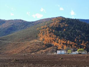 雲南省・香格里拉郊外 （松贊寺、納帕海、普達措国家公園）の写真　失われた地平線を求めて2-7