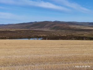 内蒙古自治区・室韋と黒山頭（904県道）の写真　室韋からロシア国境を黒山頭へ2-10