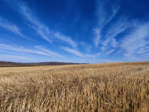 内蒙古自治区・室韋と黒山頭（904県道）の写真　室韋からロシア国境を黒山頭へ2-11