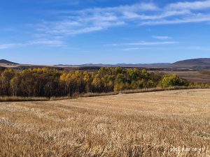 内蒙古自治区・室韋と黒山頭（904県道）の写真　室韋からロシア国境を黒山頭へ2-6