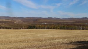 内蒙古自治区・室韋と黒山頭（904県道）の写真　室韋からロシア国境を黒山頭へ2-8