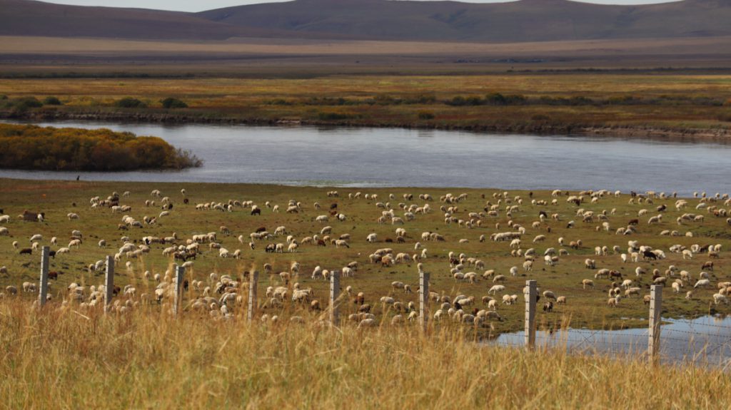 内蒙古自治区・室韋と黒山頭（904県道）の写真　室韋からロシア国境を黒山頭へ3-5