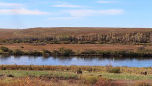 内蒙古自治区・室韋と黒山頭（904県道）の写真　室韋からロシア国境を黒山頭へ3-6