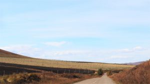 内蒙古自治区・室韋と黒山頭（904県道）の写真　室韋からロシア国境を黒山頭へ4-10
