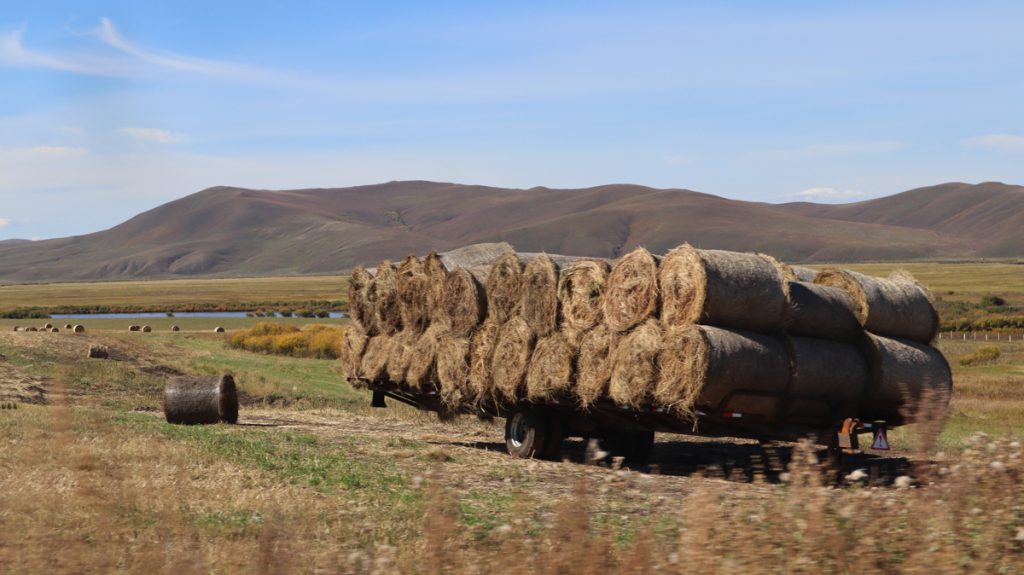 内蒙古自治区・室韋と黒山頭（904県道）の写真　室韋からロシア国境を黒山頭へ4-4