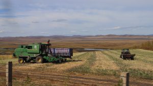 内蒙古自治区・室韋と黒山頭（904県道）の写真　室韋からロシア国境を黒山頭へ4-6