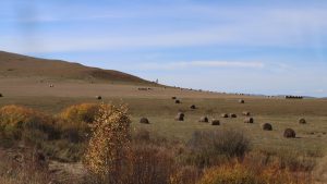 内蒙古自治区・室韋と黒山頭（904県道）の写真　室韋からロシア国境を黒山頭へ4-8