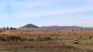 内蒙古自治区・室韋と黒山頭（904県道）の写真　室韋からロシア国境を黒山頭へ4-9