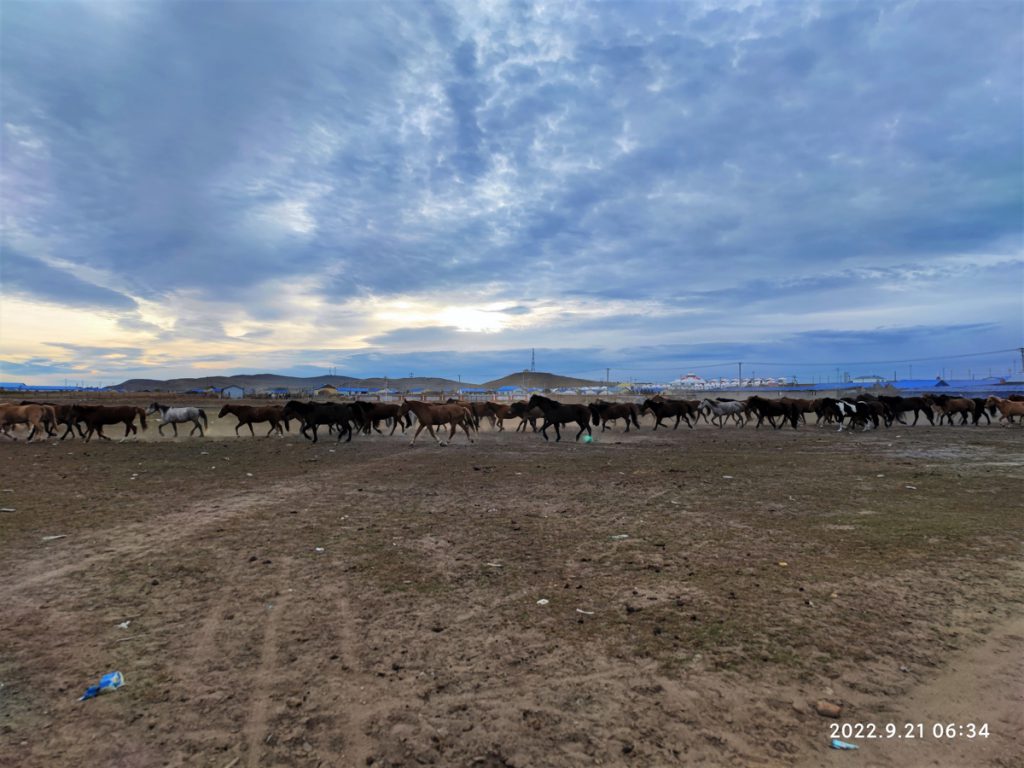 内蒙古自治区・室韋と黒山頭（904県道）の写真　室韋からロシア国境を黒山頭へ5-1