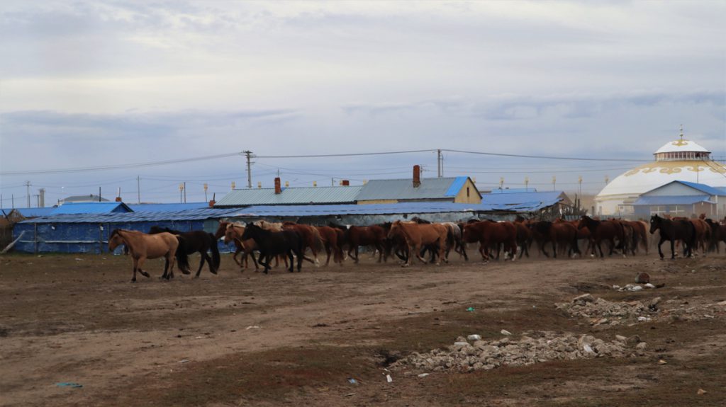 内蒙古自治区・室韋と黒山頭（904県道）の写真　室韋からロシア国境を黒山頭へ5-2