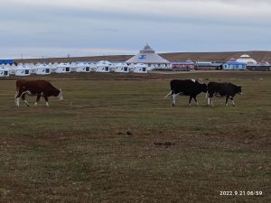 内蒙古自治区・室韋と黒山頭（904県道）の写真　室韋からロシア国境を黒山頭へ5-7