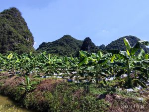 広東省・の写真　自然の天窓から見える青空2-10