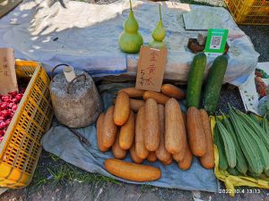 広東省・の写真　自然の天窓から見える青空2-8