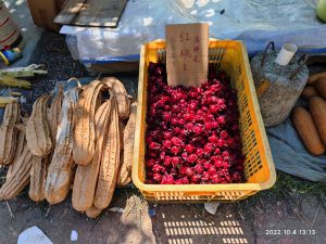 広東省・の写真　自然の天窓から見える青空2-9