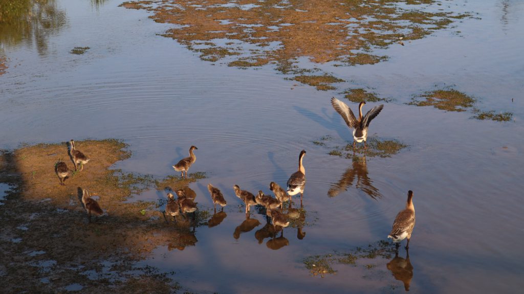 広東省・の写真　自然の天窓から見える青空3-4