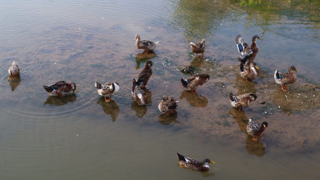 広東省・の写真　自然の天窓から見える青空3-5