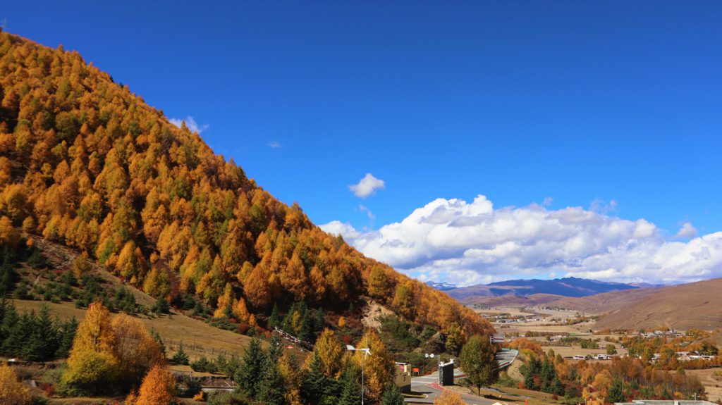 四川省・八美高原の写真　八美の紅葉に魅せられて3-1