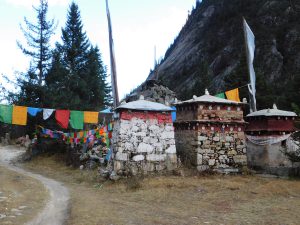 四川省・の写真　神山を仰ぎ格聶（グニエ）南綫を行く4-8