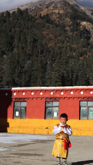 四川省・の写真　神山を仰ぎ格聶（グニエ）南綫を行く4-9