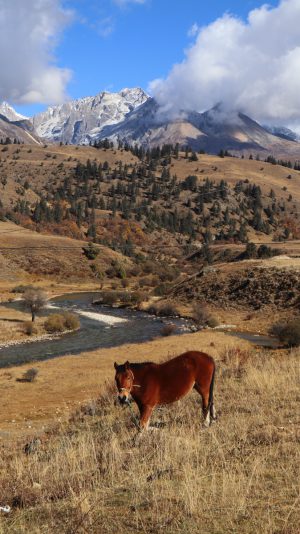 四川省・の写真　神山を仰ぎ格聶（グニエ）南綫を行く5-9