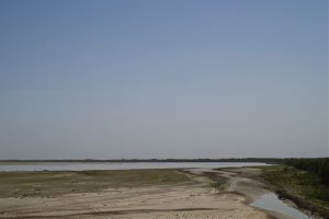 新疆ウィグル自治区・塔里木（タリム）盆地の写真　胡楊林を染めるタリムの夕陽3-11