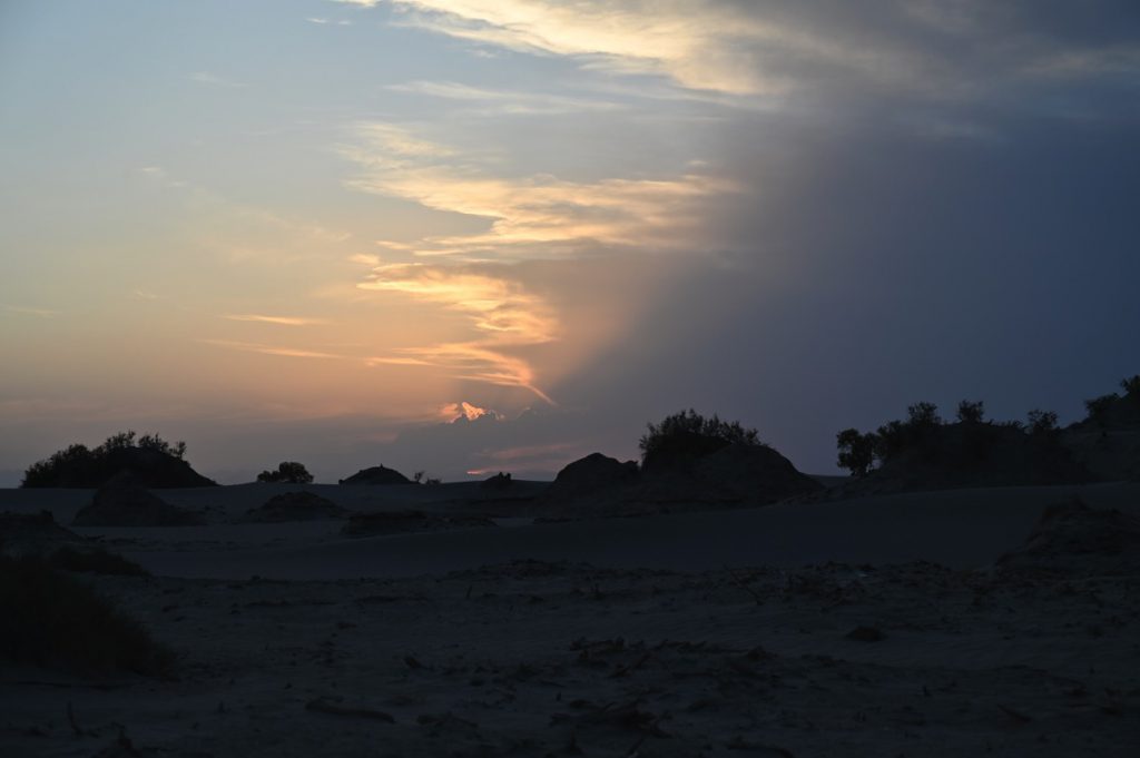 新疆ウィグル自治区・塔里木（タリム）盆地の写真　胡楊林を染めるタリムの夕陽3-3