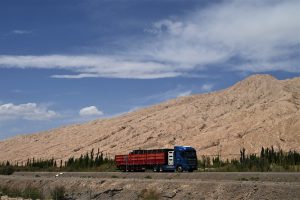 新疆ウィグル自治区・塔里木（タリム）盆地の写真　胡楊林を染めるタリムの夕陽4-7
