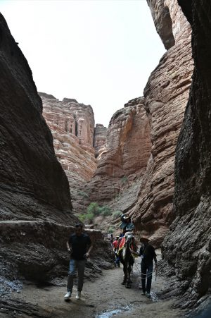 新疆ウィグル自治区・の写真　炎熱の谷から緑の天山へ2-10