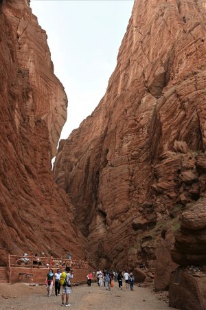新疆ウィグル自治区・の写真　炎熱の谷から緑の天山へ2-11