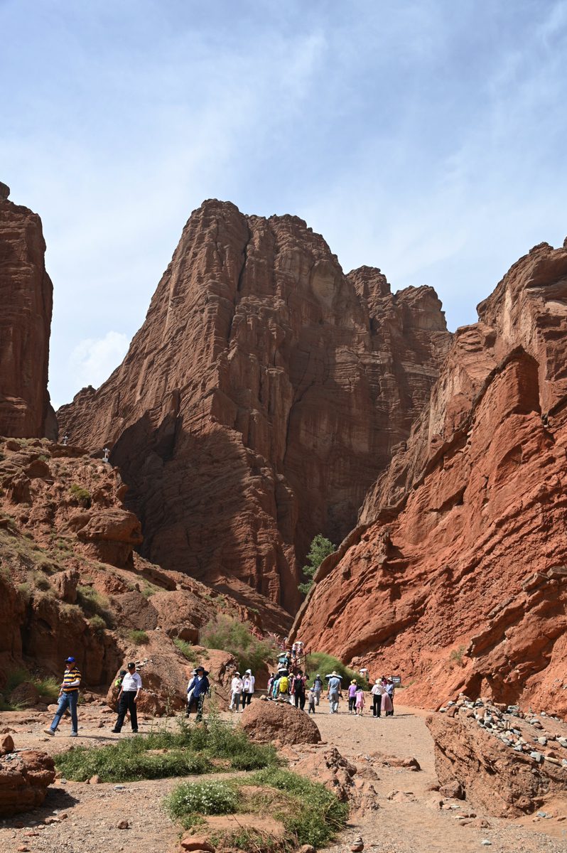 新疆ウィグル自治区・の写真　炎熱の谷から緑の天山へ2-2